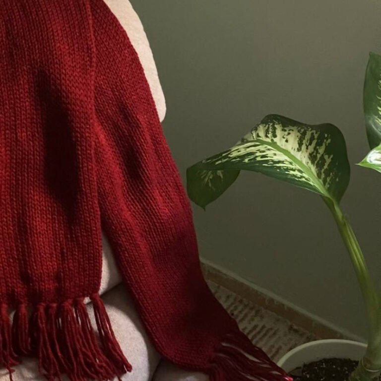 شال ميكاسا الاحمر